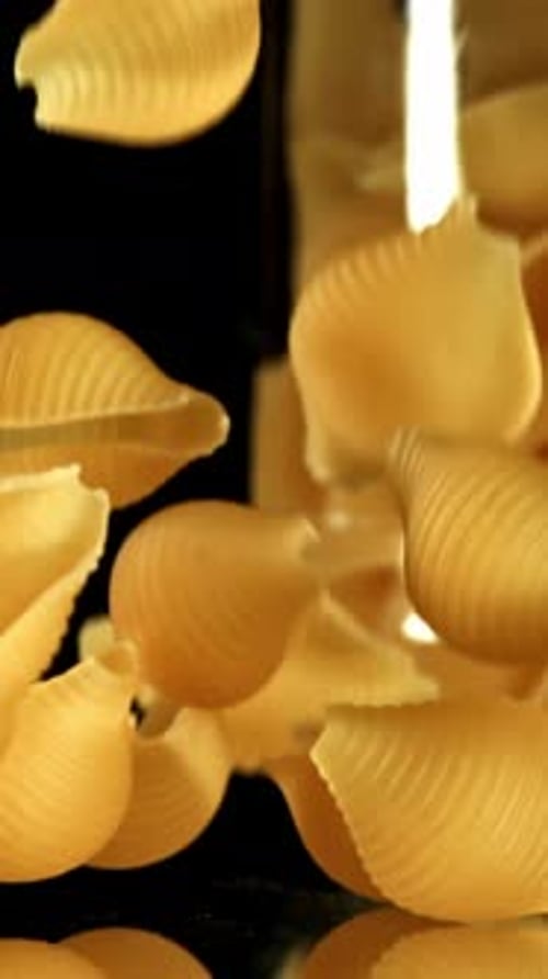 Super Slow Motion Dry Conchiglie Pasta Filmed on a Highspeed Camera at 1000 Fps
