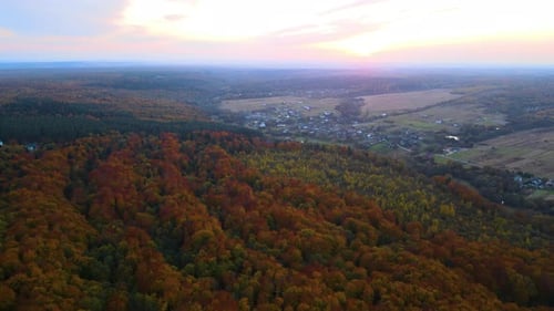 Colorful Woods at Sunset Yellow and Orange Canopies in Autumn Forest on Sunny Evening Landscape of