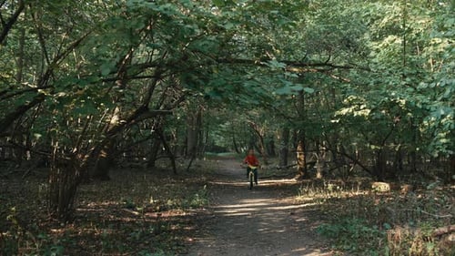 Joyful Child Embraces the Outdoors Cycling with Delight in the Enchanted Forest