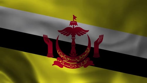 Fluid Waving Flag of Brunei with National Emblem