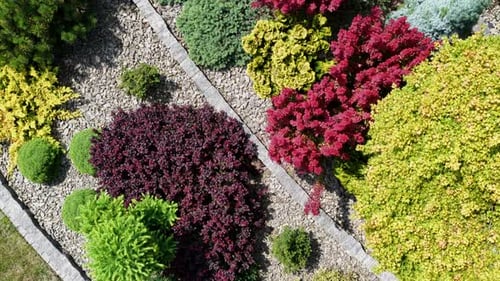 Beautiful Garden Landscape Showcasing Vibrant Foliage and Neat Stone Borders