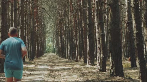 Man Running Alley in a Pine Forest