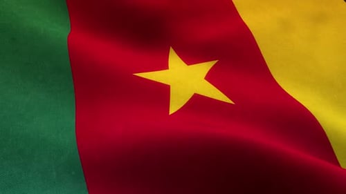 Cameroon National Flag Waving Seamless Loop