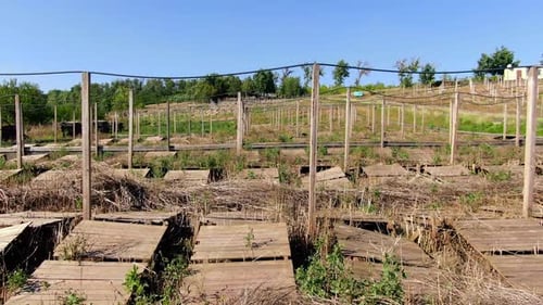 Drone reduz o zoom de decks de madeira para criar caracóis