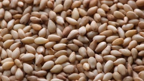 Closeup of white sesame seeds.