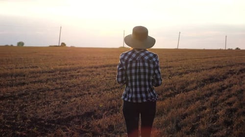Female Farmer Going Through the Wheat Meadow at Sunset Adult Agronomist in Straw Hat Walking Among