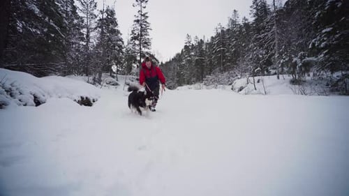 Man and Husky Dog Walk in Winter Forest