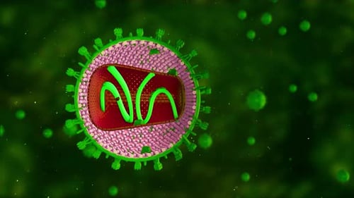 3D Animation of Virus Particle Revealing Internal RNA Structure