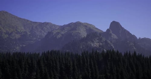 Majestic Mountain Landscape with Dense Forest Under Clear Blue Sky at Dawn