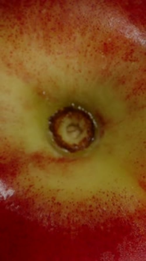 Vídeo vertical. Caída a cámara lenta de una nectarina mientras es atrapada por una mano, vista desde arriba sobre un
negro