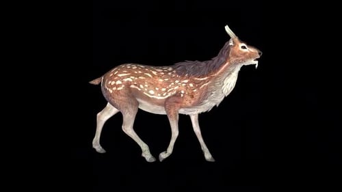 Wild Deer Walk Idle 2