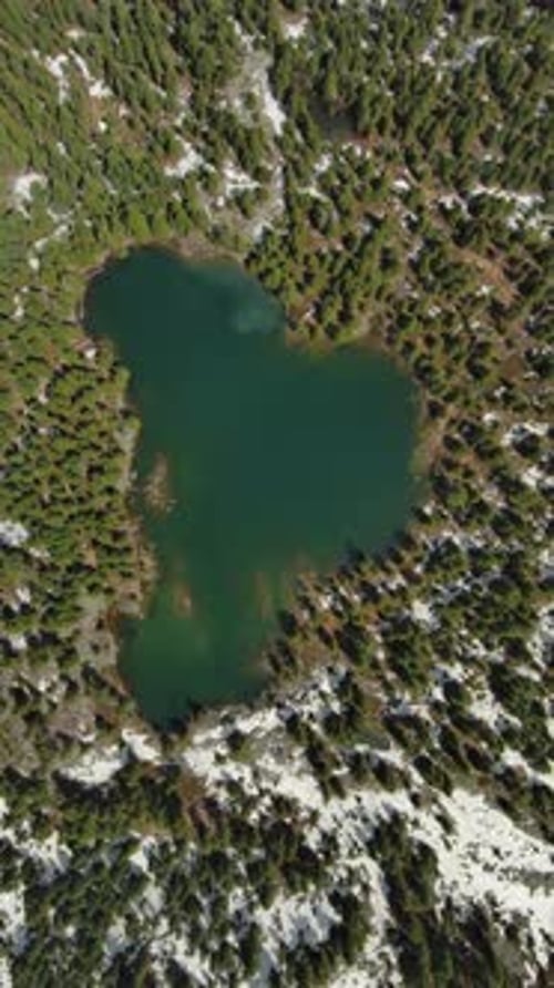 Mountain lake with snow mountains and green forest