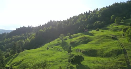 Collines vertes et forêt de montagne en été. - vue aérienne