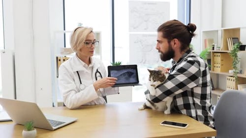 Veterinarian Explains X-Ray to Man Holding Cat