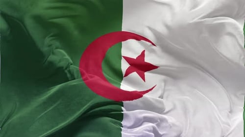 Algerian Flag Waving with Realistic Fabric Loop