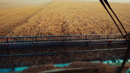 Harvesters for Harvesting Grain While Working View From the Combine Harvester Cab Harvesting