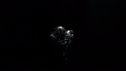 Submerge Collection: Big bubbles floating from the bottom moving upwards on a black background