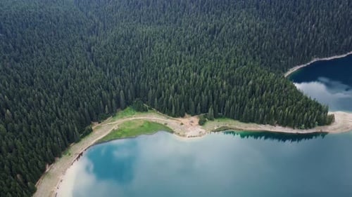 Amazing Aerial Drone View of Crno Jezero or Black Lake Pine Forest and Cliffs in Durmitor National
