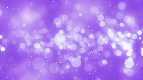 Purple Particle Bokeh Lights Background Loop V3