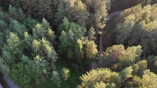 Vista aérea: pista olímpica de bobsleigh de Sarajevo en la montaña Trebević. Inyección cenital. Sartén