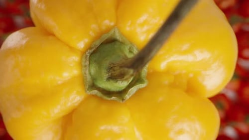 A Yellow Habanero pepper spins and falls down on a background of red mini peppers of The Star