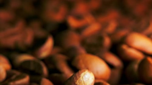 Macro Coffee Beans