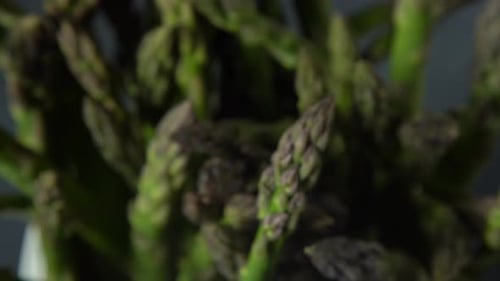 Bunch of Green Asparagus