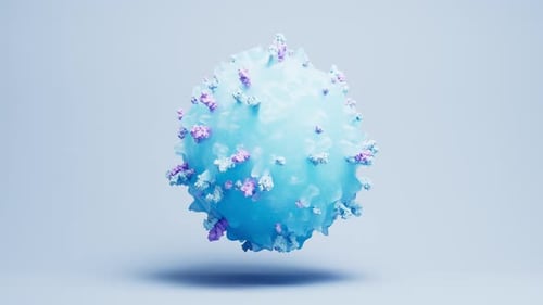 Loop lymphocytes and biological immune system