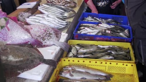 Frischer Seefisch an der Theke des Fischladens