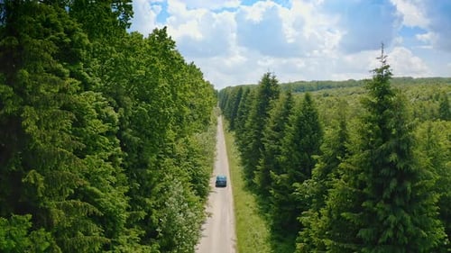 Car on a road among amazing green nature. Blue electric automobile moving on a road.