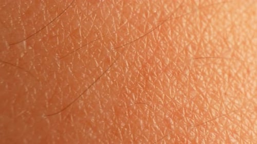 A macro shot of human skin.