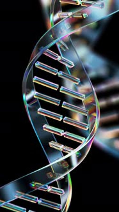 Glass DNA Double Helix Strand Rotates on Black Background Loop Animation Science and Biotechnology