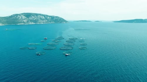Aquakultur Offshore-Fischzucht im Meer zur Kultivierung von Fischen in der Lagune