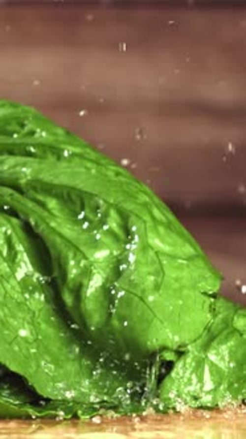 Fresh Lettuce Falls on the Table Filmed on a Highspeed Camera at 1000 Fps