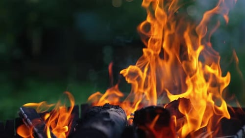 Fire flame on blur nature background. Motion of vivid fire tongues.