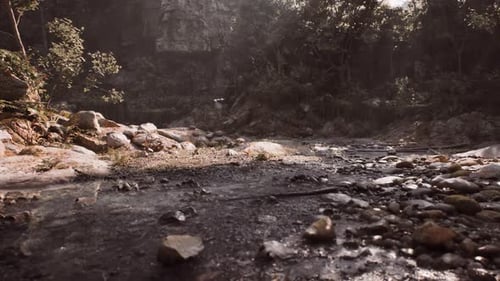 Une rive sereine à Madagascar présentant une végétation luxuriante et un terrain rocheux