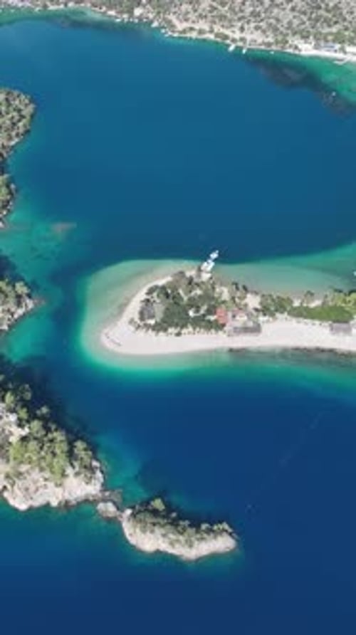 Summer coastline from vertical aerial view