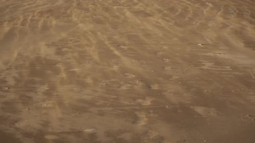 Sand kicked up by the wind racing across a sandy beach