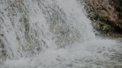 Pure Fresh Water Stream In Mountains Clean Water River Flowing