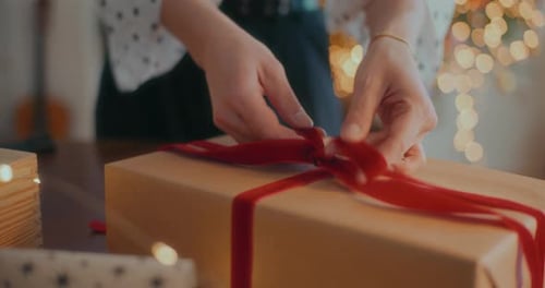 Christmas Gift Decorated Xmas Holidays
