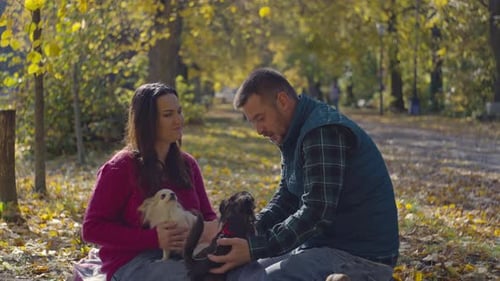 Couple with Dogs Relaxing in Autumn Park