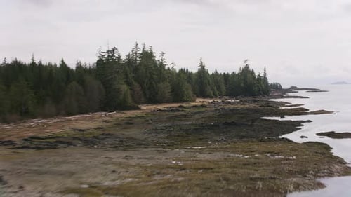Majestic Alaska coastal scenery from above flying over tongass national forest