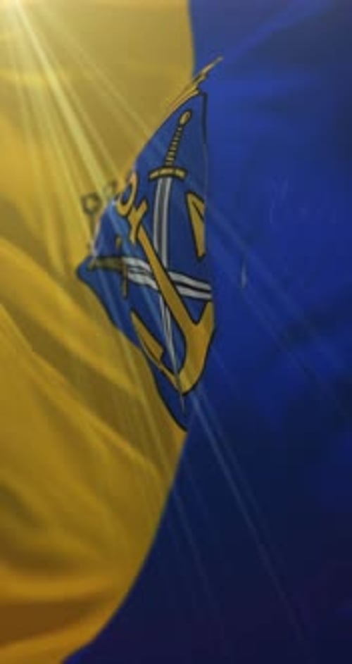 Vertical Waving Flag with Crest and Sun Rays