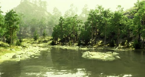 Lush Green Forest Landscape Alongside a Serene Body of Water During Daylight