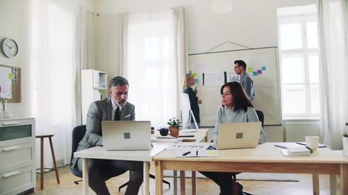 Diverse business team collaborating on a laptop in a modern office space