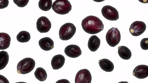 Abstract Floating Dark Purple Organic Shapes Background Animation