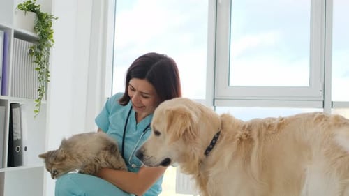 Dog and Cat in Veterinary Clinic