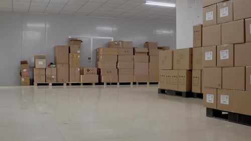 Warehouse with Cardboard Boxes Ready for Shipping