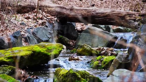 Small water fall paired with a stream flowing through stones