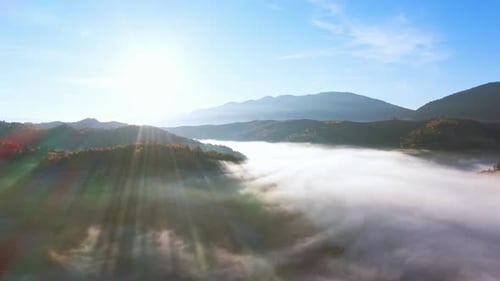 Colinas montañosas cubiertas de coloridos bosques y espesa niebla